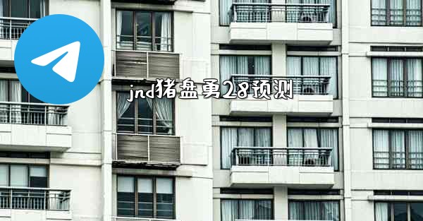 jnd猪盘勇28预测