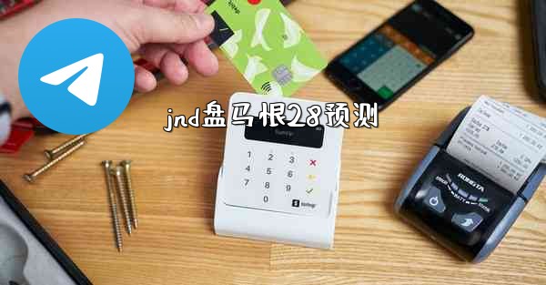 jnd盘马恨28预测