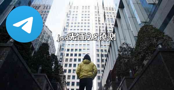 jnd光画28预测
