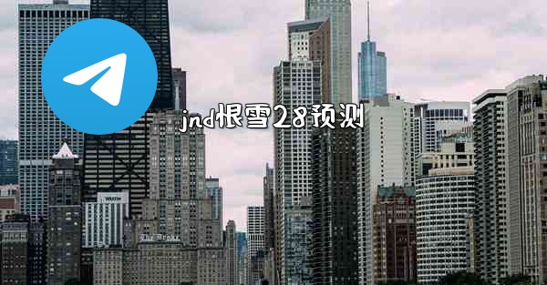 jnd恨雪28预测