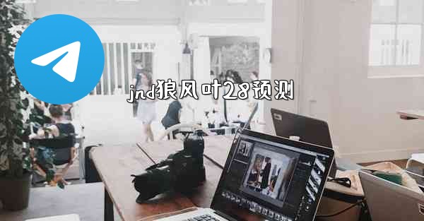 jnd狼风叶28预测