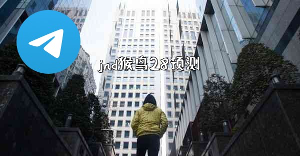 jnd猴鸟28预测