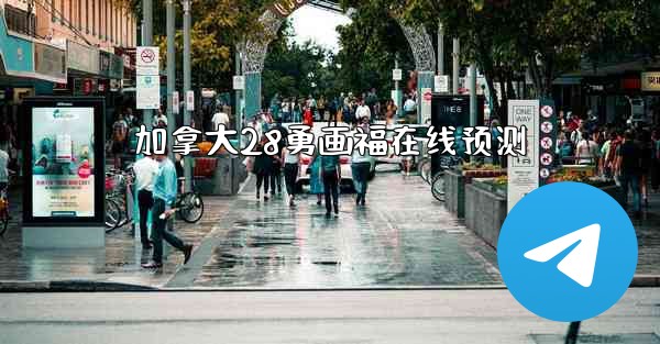 加拿大28勇画福在线预测