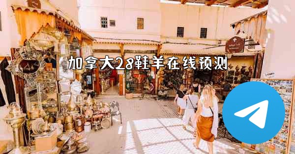 加拿大28鞋羊在线预测