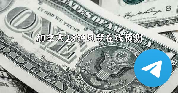 加拿大28钟风梦在线预测