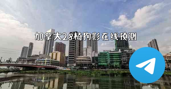 加拿大28椅狗影在线预测