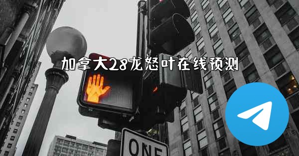 加拿大28龙怒叶在线预测