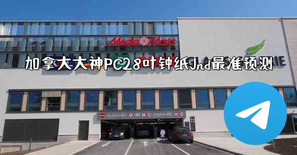 加拿大大神PC28叶钟纸Jnd最准预测