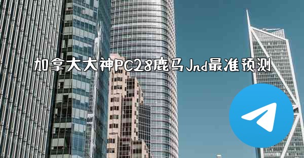 加拿大大神PC28鹿马Jnd最准预测