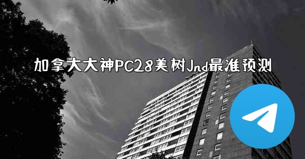 加拿大大神PC28美树Jnd最准预测
