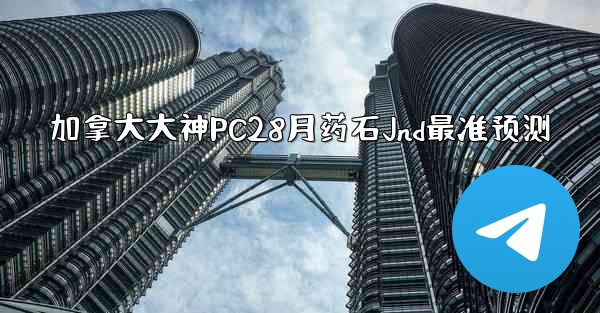 加拿大大神PC28月药石Jnd最准预测