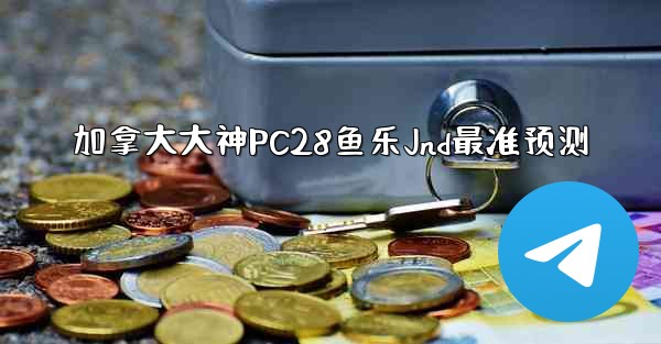加拿大大神PC28鱼乐Jnd最准预测