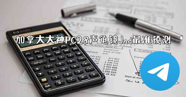 加拿大大神PC28声龟镜Jnd最准预测