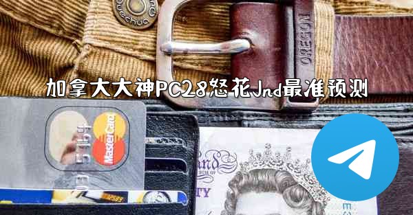 加拿大大神PC28怒花Jnd最准预测