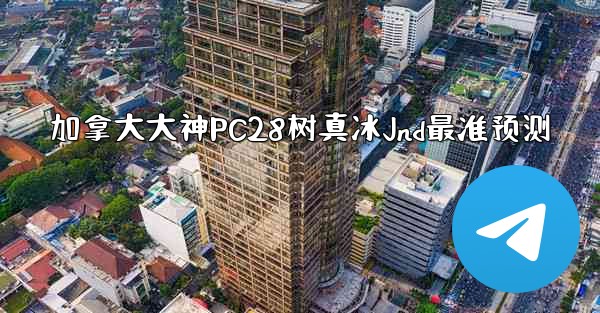 加拿大大神PC28树真冰Jnd最准预测