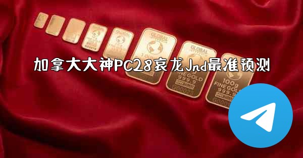 加拿大大神PC28哀龙Jnd最准预测