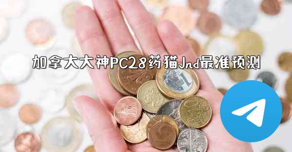 加拿大大神PC28药猫Jnd最准预测
