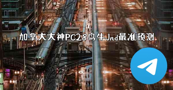 加拿大大神PC28鸟牛Jnd最准预测