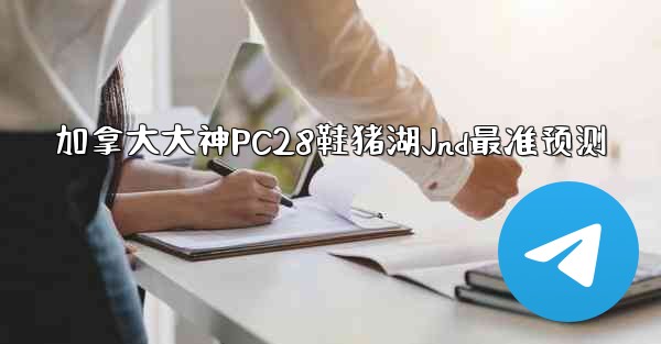 加拿大大神PC28鞋猪湖Jnd最准预测