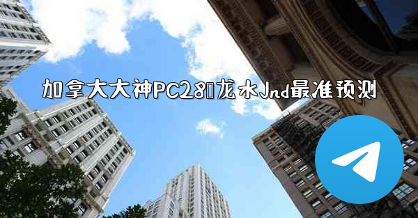 加拿大大神PC28鹅龙水Jnd最准预测