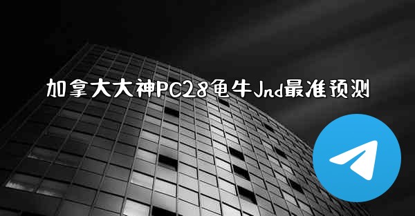 加拿大大神PC28龟牛Jnd最准预测
