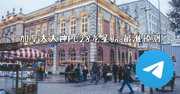 加拿大大神PC28龙星Jnd最准预测
