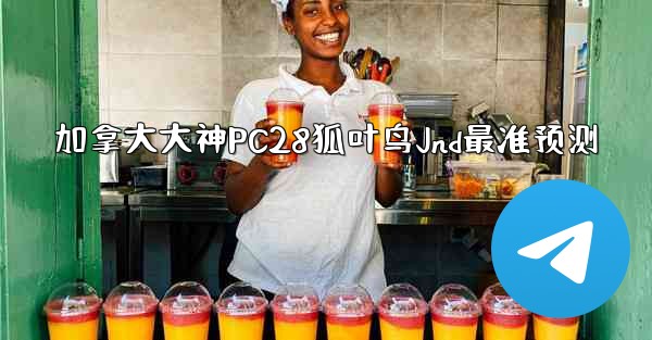 加拿大大神PC28狐叶鸟Jnd最准预测