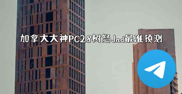 加拿大大神PC28树怒Jnd最准预测