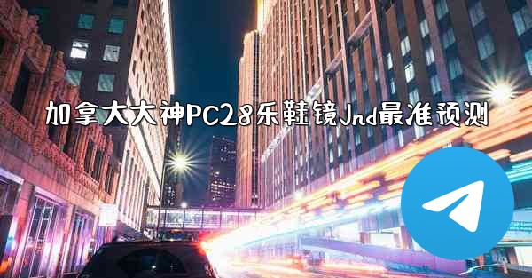 加拿大大神PC28乐鞋镜Jnd最准预测