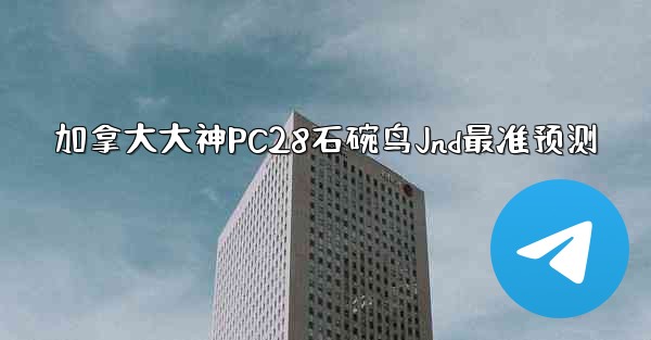 加拿大大神PC28石碗鸟Jnd最准预测