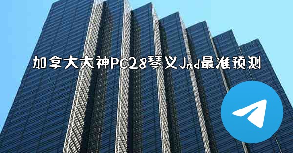 加拿大大神PC28琴义Jnd最准预测