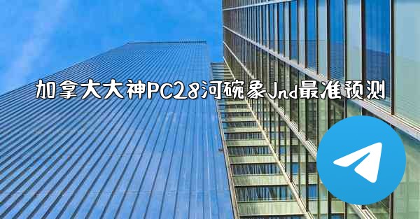 加拿大大神PC28河碗象Jnd最准预测