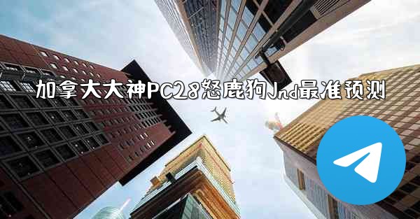 加拿大大神PC28怒鹿狗Jnd最准预测