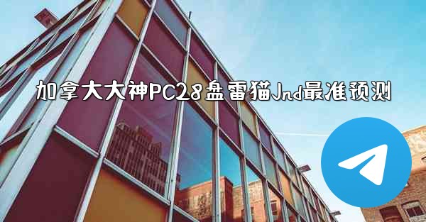加拿大大神PC28盘雷猫Jnd最准预测