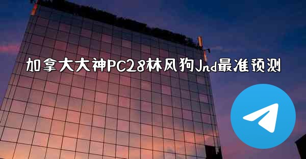 加拿大大神PC28林风狗Jnd最准预测