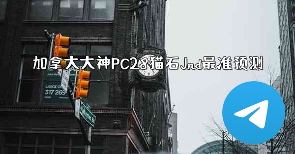 加拿大大神PC28猫石Jnd最准预测