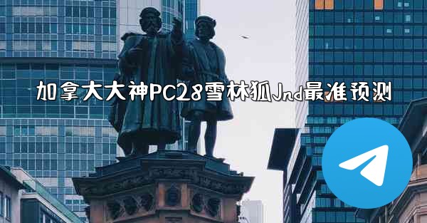 加拿大大神PC28雪林狐Jnd最准预测