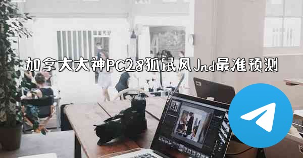 加拿大大神PC28狐鼠风Jnd最准预测