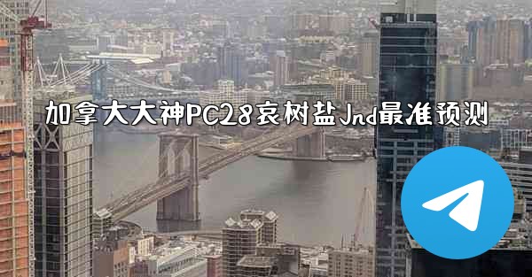 加拿大大神PC28哀树盐Jnd最准预测
