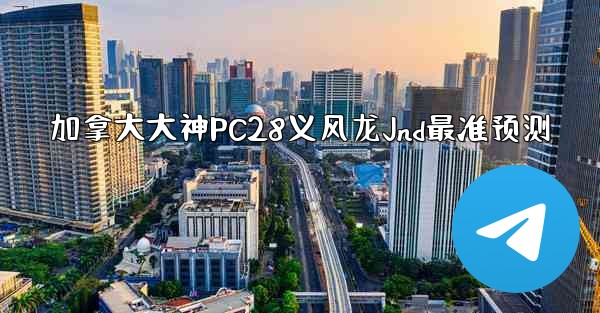 加拿大大神PC28义风龙Jnd最准预测