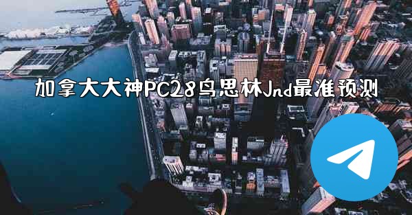 加拿大大神PC28鸟思林Jnd最准预测