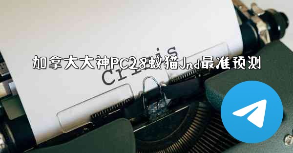 加拿大大神PC28蚁猫Jnd最准预测