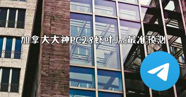 加拿大大神PC28虾叶Jnd最准预测