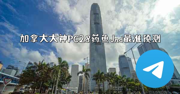 加拿大大神PC28药鱼Jnd最准预测