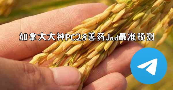 <b>加拿大大神PC28善药Jnd最准预测</b>