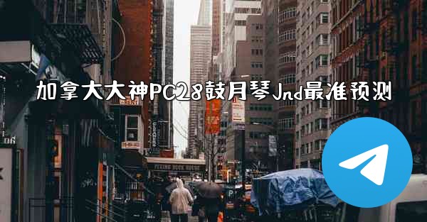 加拿大大神PC28鼓月琴Jnd最准预测