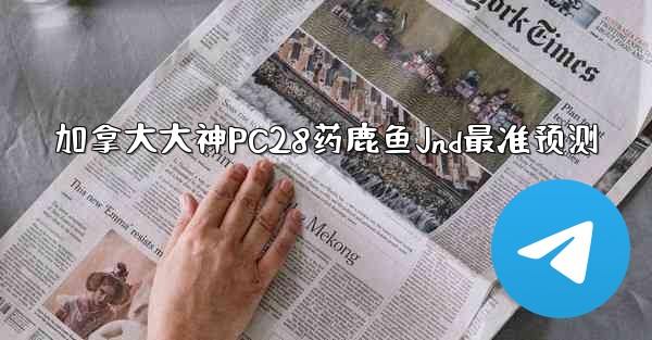 加拿大大神PC28药鹿鱼Jnd最准预测