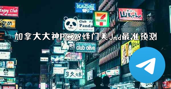 加拿大大神PC28蜂门美Jnd最准预测