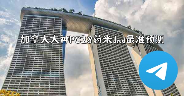 加拿大大神PC28药米Jnd最准预测
