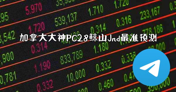 加拿大大神PC28鲸山Jnd最准预测